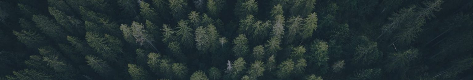 fabio-comparelli-JYjZDhUjaPU-unsplash fabio-comparelli-JYjZDhUjaPU-unsplash